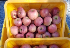 숲마을농원 가…